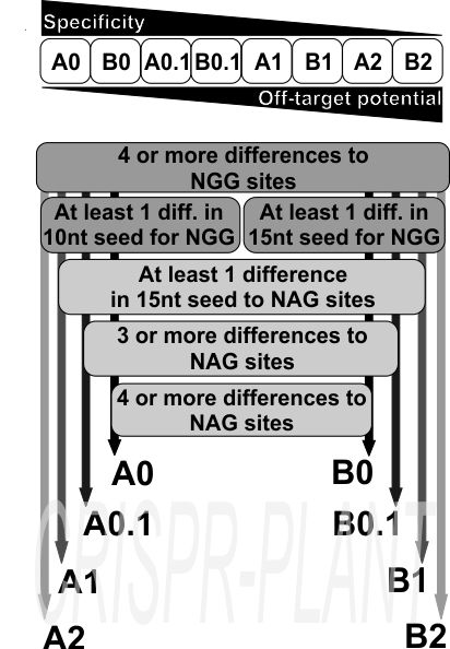 Classification